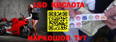 ALPHA PVP Гай