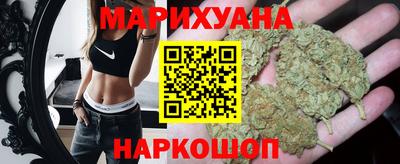 ALPHA PVP Гай